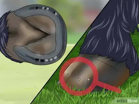 Image titled Pick a Horse Hoof Step 12