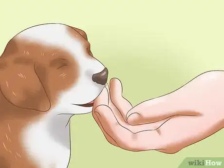 Image titled Stop Dogs from Biting Step 5