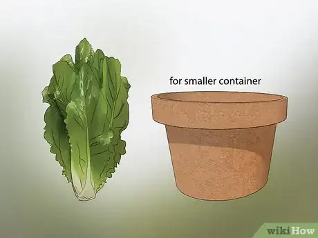 Image titled Grow Lettuce in a Pot Step 8