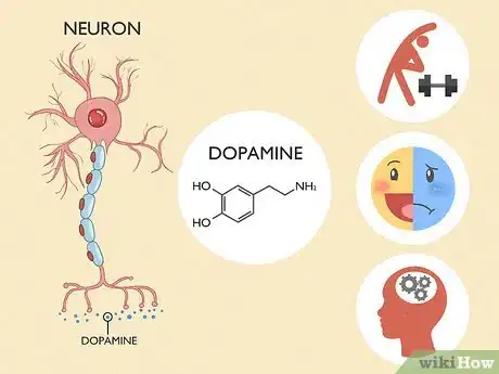 Image titled Increase Dopamine Sensitivity Step 1