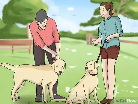 Image titled Introduce a New Dog to Your House and Other Dogs Step 13