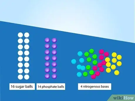 Image titled Make a Model of DNA Using Common Materials Step 16