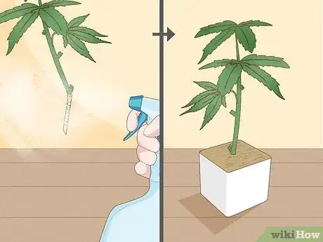 Image titled Clone Cannabis Step 7