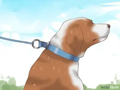 Image titled Stop Dogs from Biting Step 9