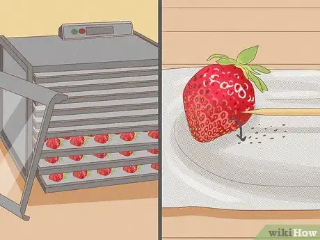 Image titled Grow Strawberries from the Seed Step 5