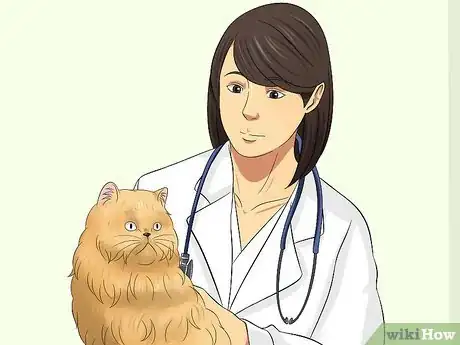 Image titled Prevent Matted Cat Hair Step 15