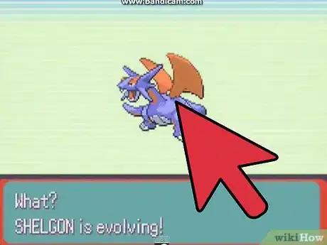 Image titled Evolve Shelgon Step 4