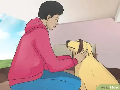 Image titled Introduce a New Dog to Your House and Other Dogs Step 31