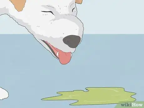 Image titled Best CBD Oil for Dogs Step 10