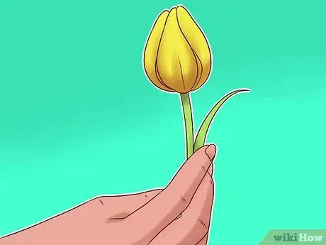 Image titled Arrange Tulips Step 3