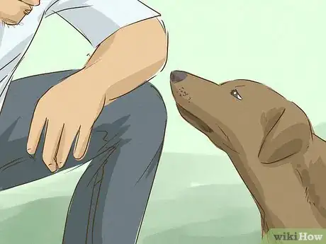 Image titled Look Friendly to Dogs Step 8