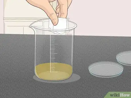 Image titled Create Agar Step 7