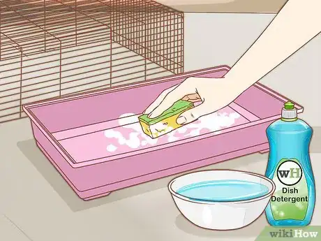 Image titled Care for Syrian Hamsters Step 15