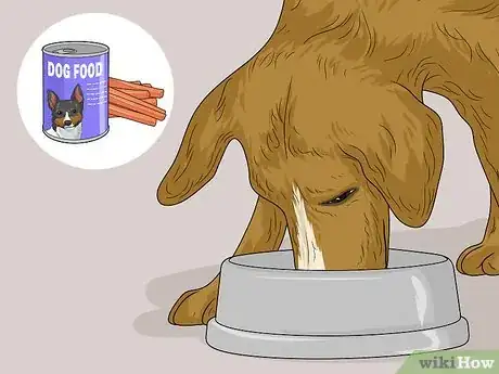 Image titled Feed a Sick Dog Step 1