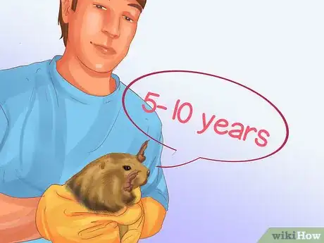 Image titled Buy Prairie Dogs Step 10