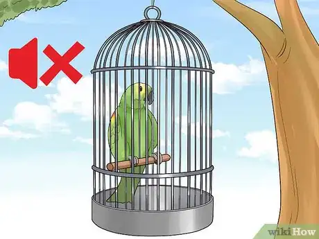 Image titled Treat Tumors in Amazon Parrots Step 11