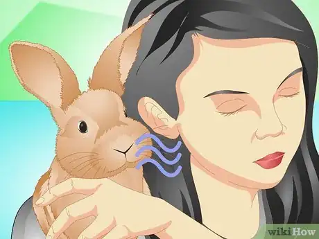 Image titled Determine if Your Rabbit Is Sick Step 5