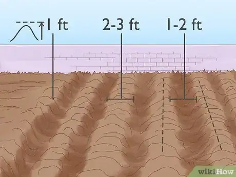 Image titled Grow Melons Step 6