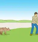 Act when Near a Coyote