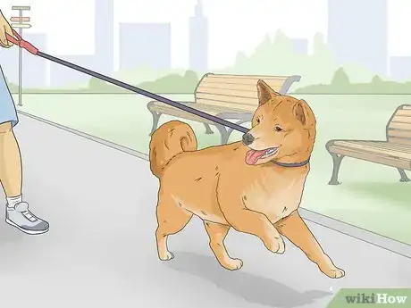 Image titled Train a Shiba Inu Step 14