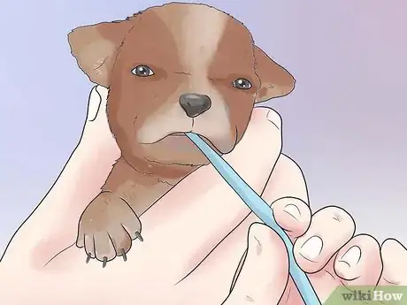 Image titled Tube Feed a Puppy Step 10