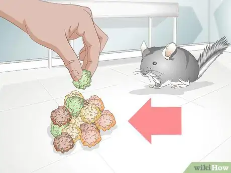 Image titled Train a Chinchilla Step 1