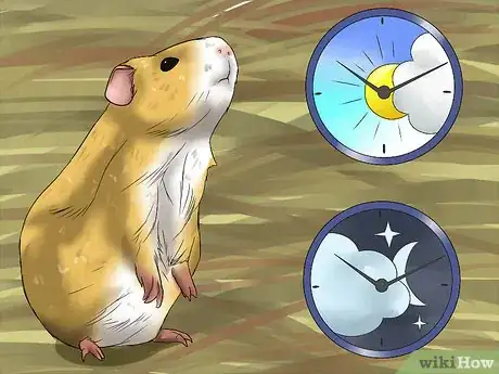 Image titled Diagnose Heatstroke in Guinea Pigs Step 1