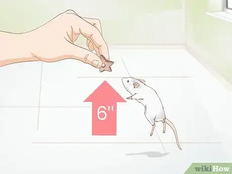 Image titled Play With Gerbils Step 15