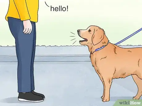 Image titled Stop Dogs from Barking at People Step 1