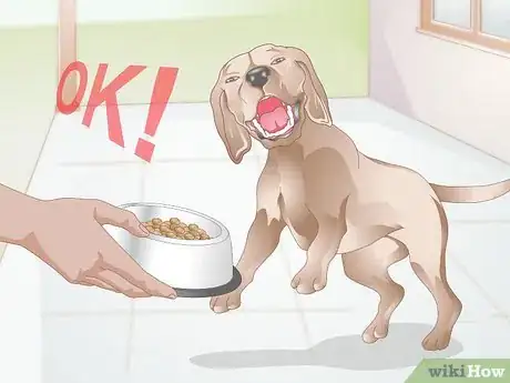 Image titled Teach Your Older Dog Basic Commands Step 6