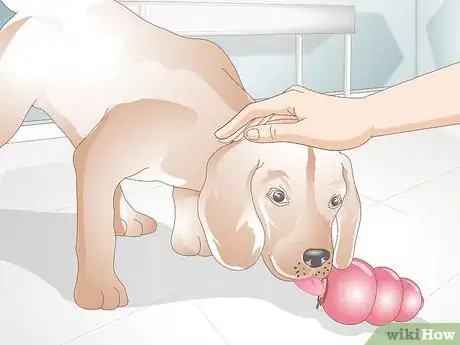 Image titled Stop a Dog from Licking Everything Step 10