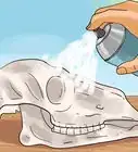 Preserve a Skull
