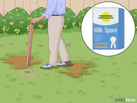 Image titled Remove White Grubs from Lawns Step 3
