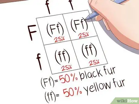 Image titled Make a Punnett Square Step 8