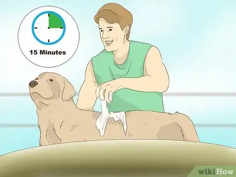 Image titled Make an Oatmeal Bath for a Dog Step 5