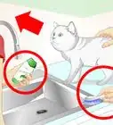 Inconspicuously Bathe a Cat Without Being Scratched