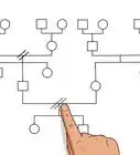 Make a Genogram