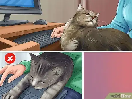 Image titled Cat Proof Your Computer Step 11