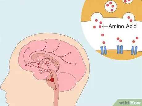 Image titled What Is Acetylcholine Step 1