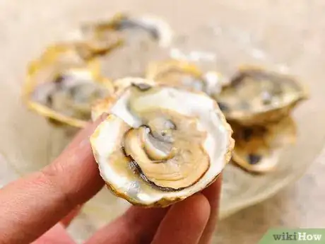 Image titled Shuck Oysters Step 12