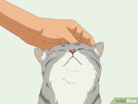 Image titled Eat Without a Cat Begging Step 3