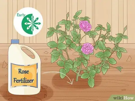 Image titled Grow Roses Step 13