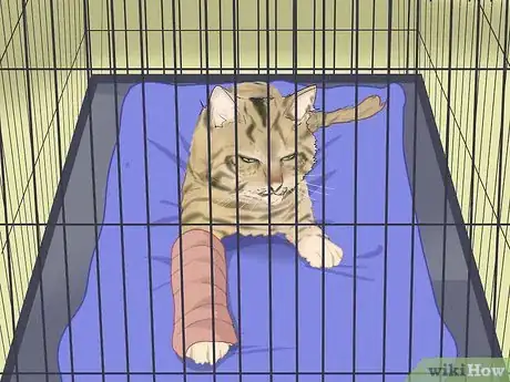 Image titled Splint a Cat's Broken Leg Step 18