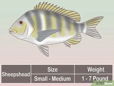 Image titled Create a Setup for Inshore Fishing Step 36