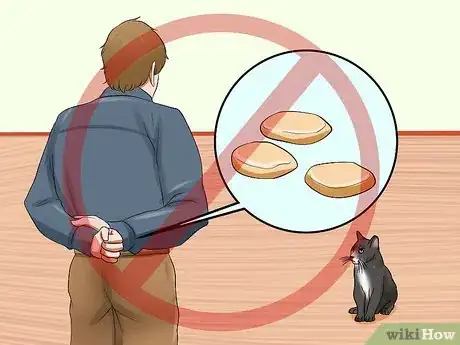 Image titled Train Your Cat to Come to You Step 13