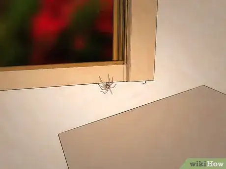 Image titled Get Spiders Out of Your House Without Killing Them Step 4