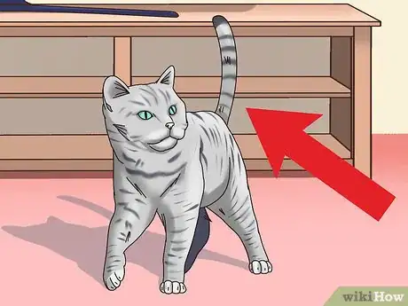 Image titled Get a Cat to Be Your Friend Step 17