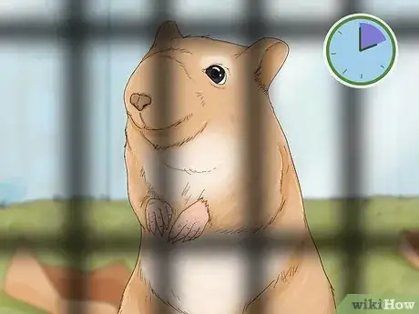 Image titled Tame Your Gerbils Step 7