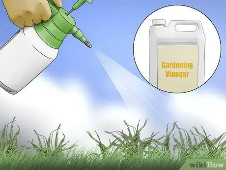 Image titled Get Rid of Crabgrass Step 1