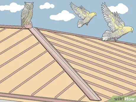 Image titled Keep Birds Off the Roof Step 1